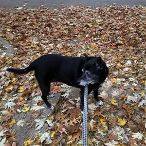 Meet your Posher, Melanie